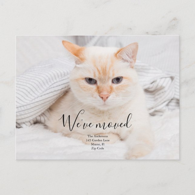 Tarjeta postal de anuncio de foto personalizada (Anverso)