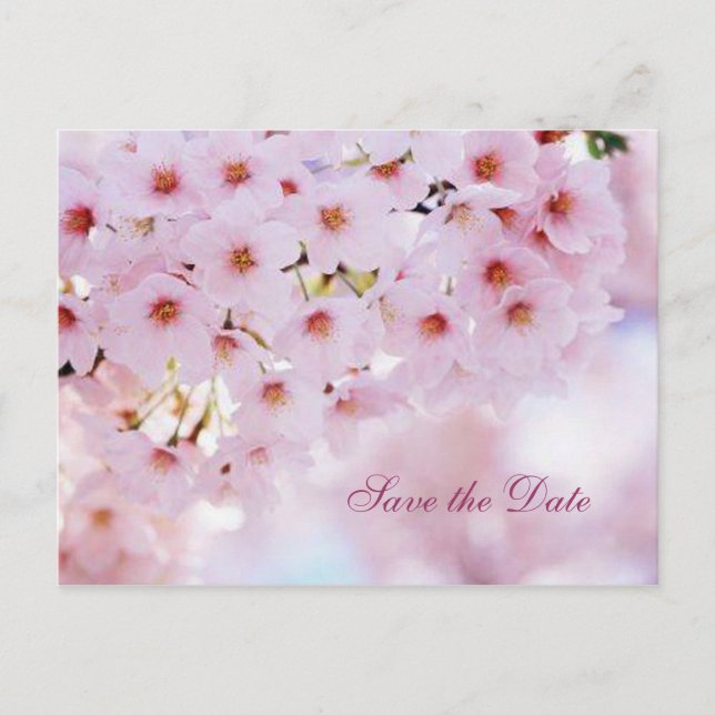 Tarjeta postal de anuncio de Save the Date de flor (Anverso)