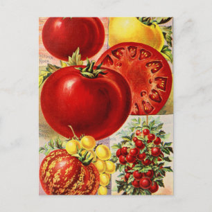 Tarjeta postal de anuncio de semilla vintage