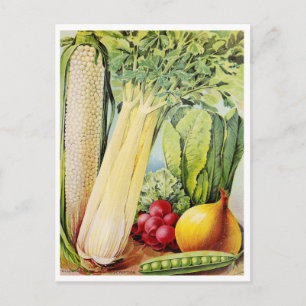 Tarjeta postal de anuncio de semilla vintage