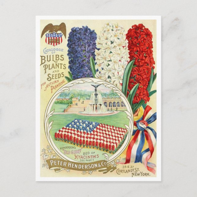 Tarjeta postal de anuncio de semilla vintage (Anverso)