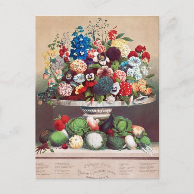 Tarjeta postal de anuncio de semilla vintage (Anverso)