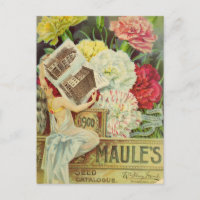 Tarjeta postal de anuncio de semilla vintage
