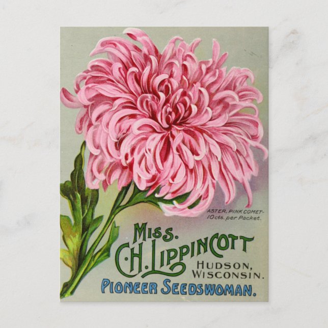 Tarjeta postal de anuncio de semillas antiguas (Anverso)