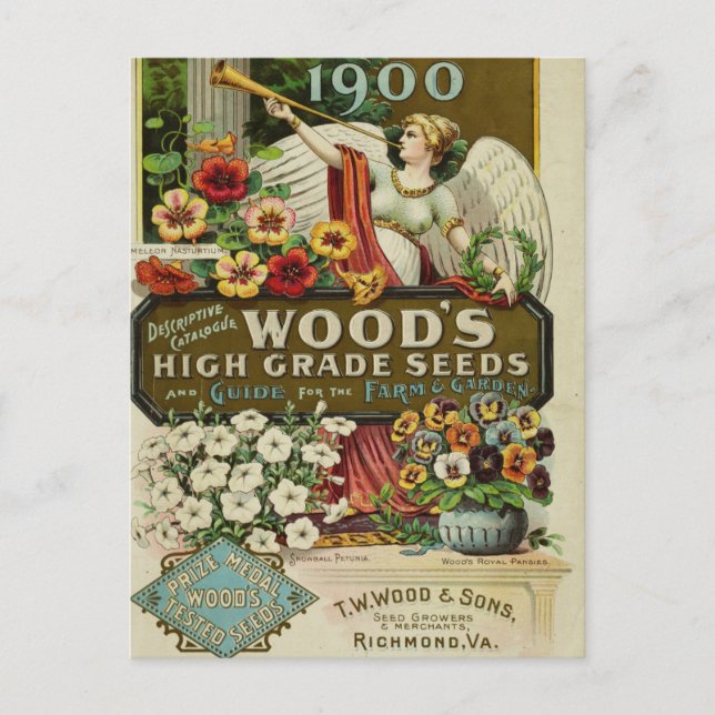 Tarjeta postal de anuncio de semillas antiguas (Anverso)