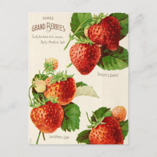 Tarjeta postal de anuncio de semillas antiguas