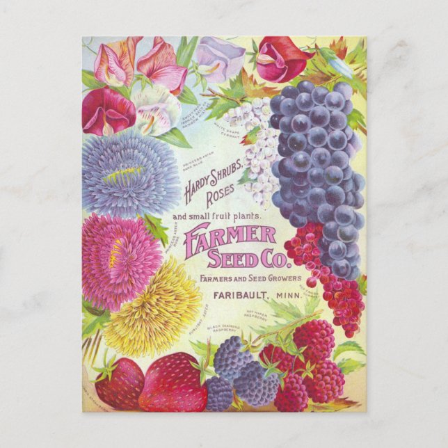 Tarjeta postal de anuncio de semillas antiguas (Anverso)