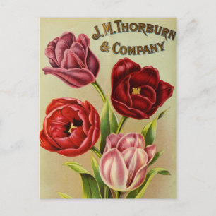 Tarjeta postal de anuncio de semillas antiguas