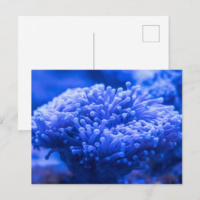 Tarjeta Postal de Apartamento con Vista al Mar Mod (Anverso / Reverso)