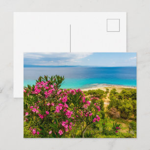 Tarjeta postal de apartamento con vista al mar mod