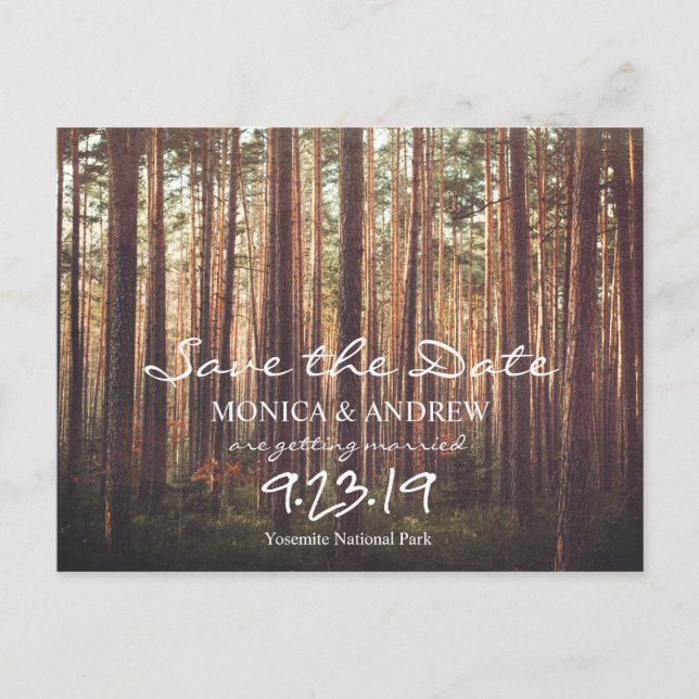 Tarjeta Postal de Árbol del Bosque de Ahorro Rústi (Anverso)