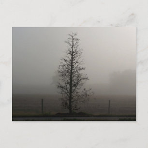 Tarjeta postal de árbol en niebla 038