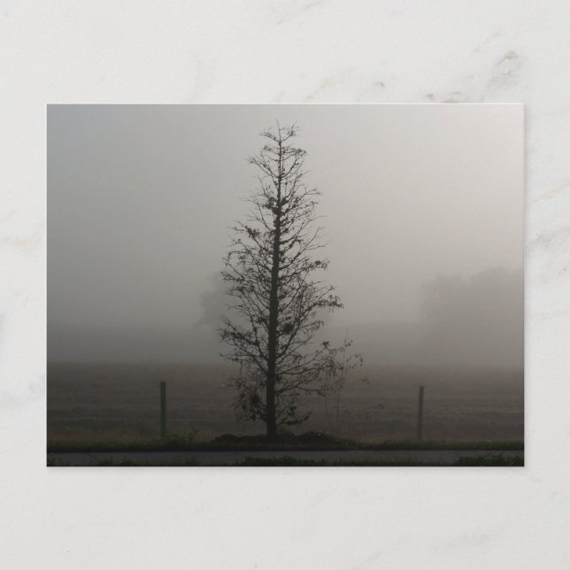 Tarjeta postal de árbol en niebla 038 (Anverso)