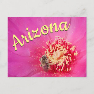 Tarjeta postal de Arizona, flor de pera espinosa a