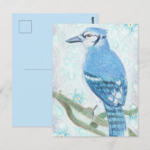 Tarjeta postal de arrendajo azul con lápiz de colo