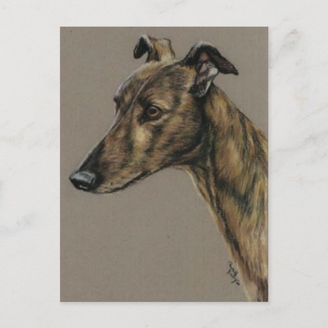 Tarjeta postal de arte de perro "Brindle Greyhound (Anverso)