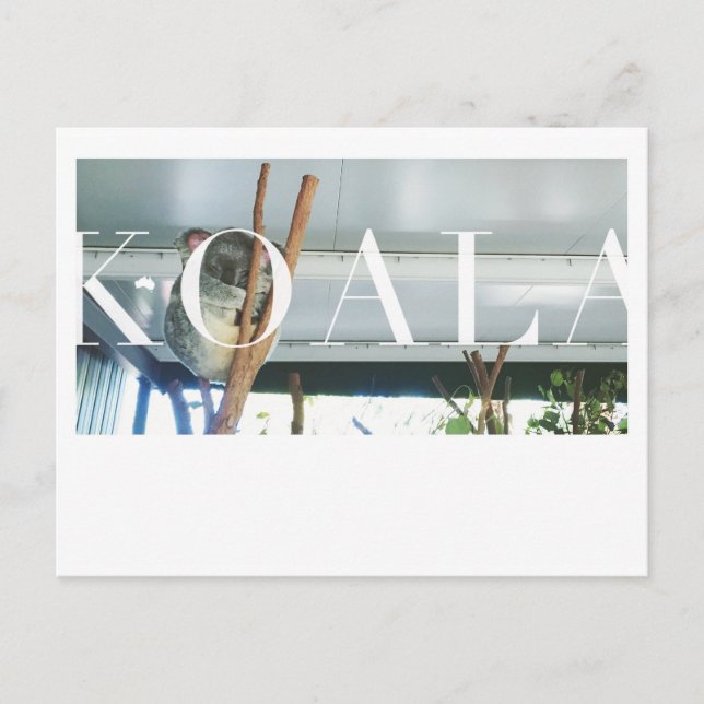 Tarjeta postal de Australia Koala (Anverso)