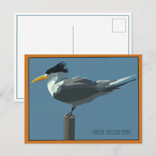 Tarjeta postal de ave - Golondrina de mar crestada