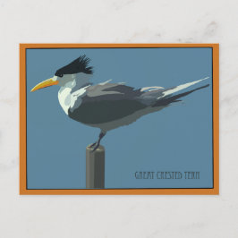 Tarjeta postal de ave - Golondrina de mar crestada