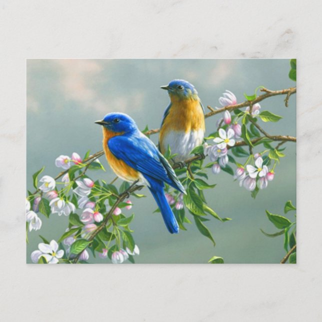 Tarjeta postal de aves azules (Anverso)