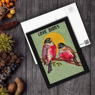 Tarjeta postal de Aves de Amor