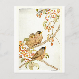 Tarjeta postal de aves de época