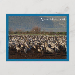 Tarjeta postal de aves migratorias