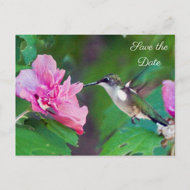Tarjeta postal de aviso de fecha para el colibrí g (Anverso)