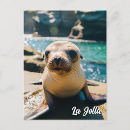 Tarjeta postal de Baby Sea Lion La Jolla Californi