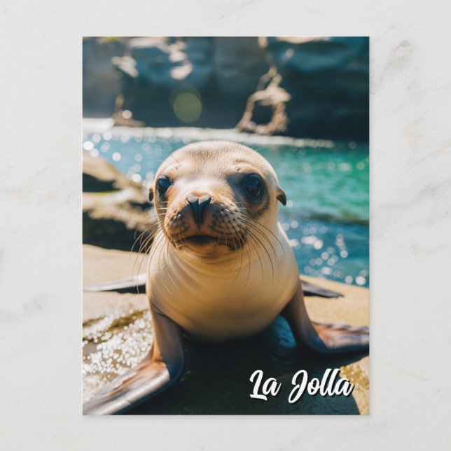 Tarjeta postal de Baby Sea Lion La Jolla Californi (Anverso)