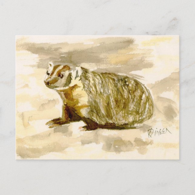 Tarjeta postal de Badger (Anverso)