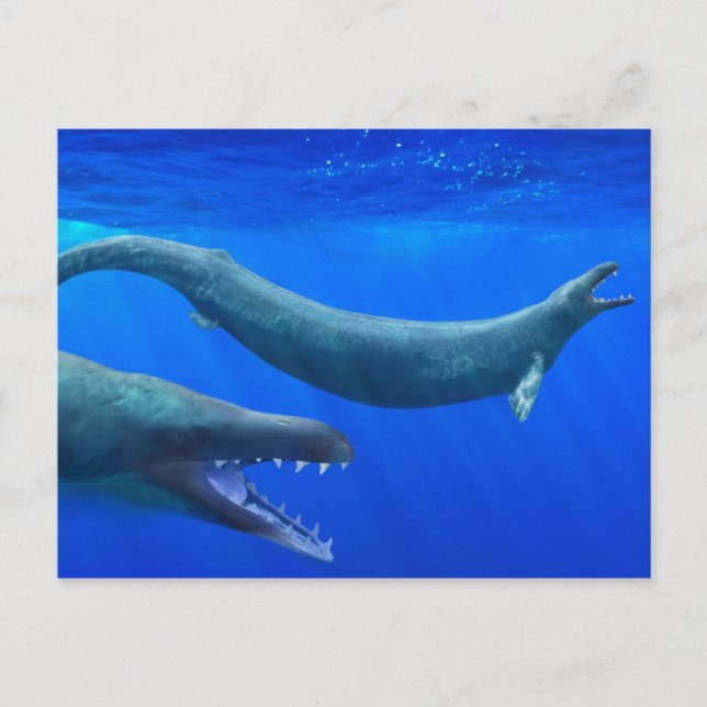 Tarjeta postal de Basilosaurus (ballena prehistóri (Anverso)