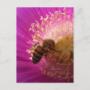 Tarjeta postal de Bee