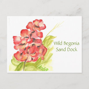 Tarjeta postal de Begonia silvestre