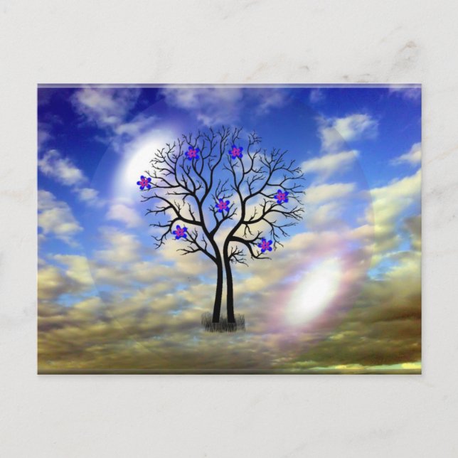 Tarjeta postal de belleza (Anverso)