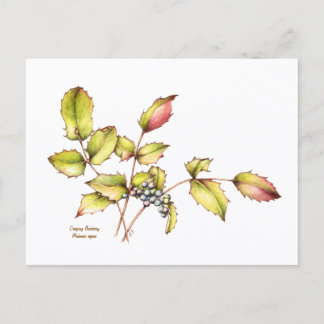 Tarjeta postal de berberis de flores silvestres en