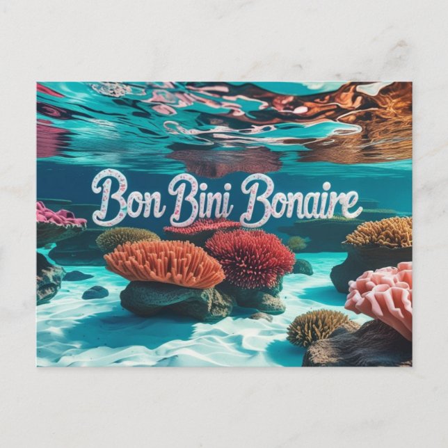 Tarjeta postal de bienvenida a Bonaire (Anverso)