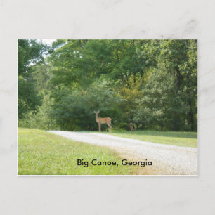 Tarjeta postal de Big Canoe, Georgia