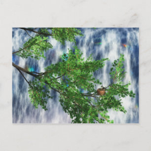 Tarjeta postal de Birdsnest Falls
