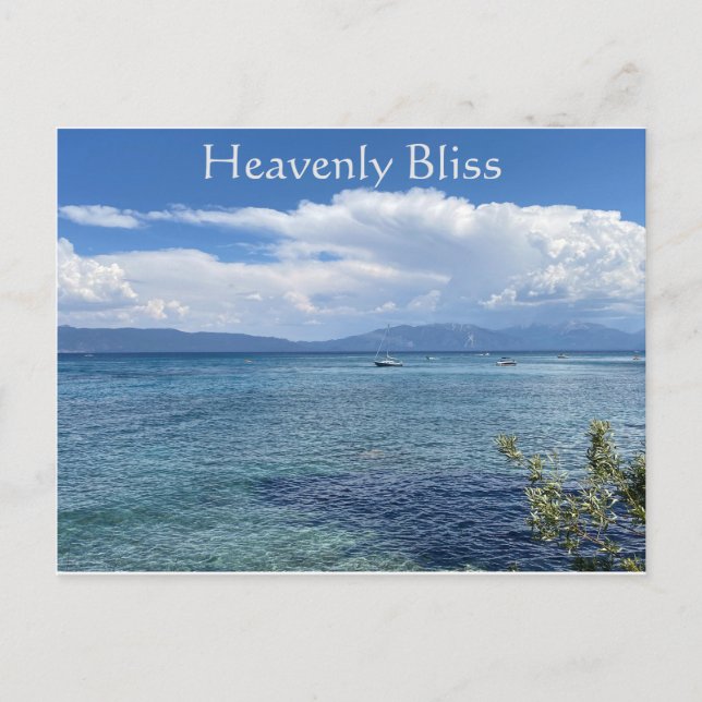 Tarjeta postal de Bliss Heavenly (Anverso)