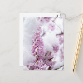 Tarjeta postal de Blossoms