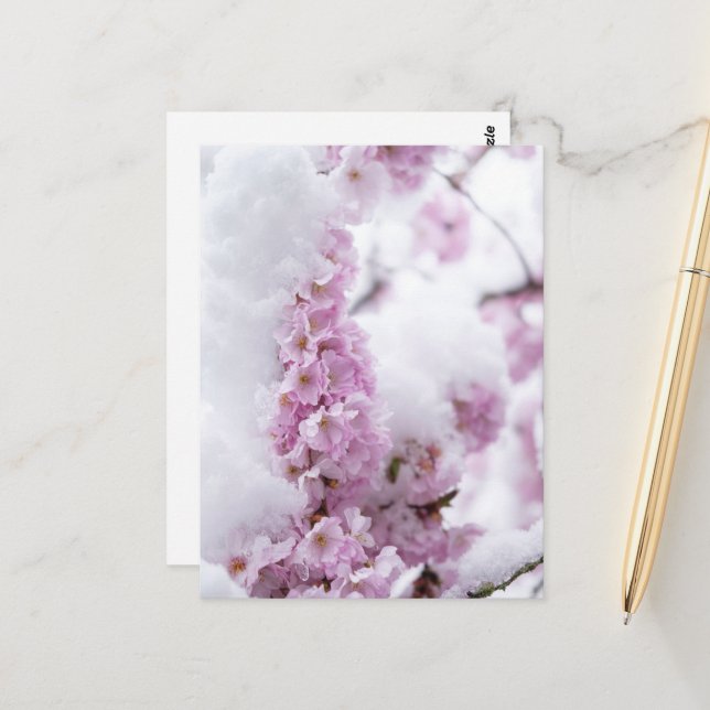 Tarjeta postal de Blossoms (Anverso/Reverso In Situ)