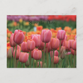 Tarjeta postal de boda, reserve la fecha...