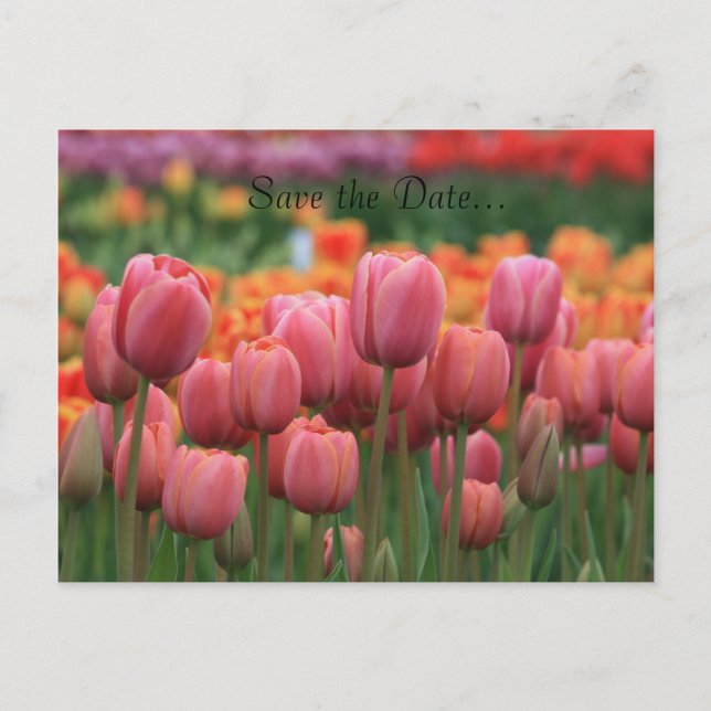 Tarjeta postal de boda, reserve la fecha... (Anverso)