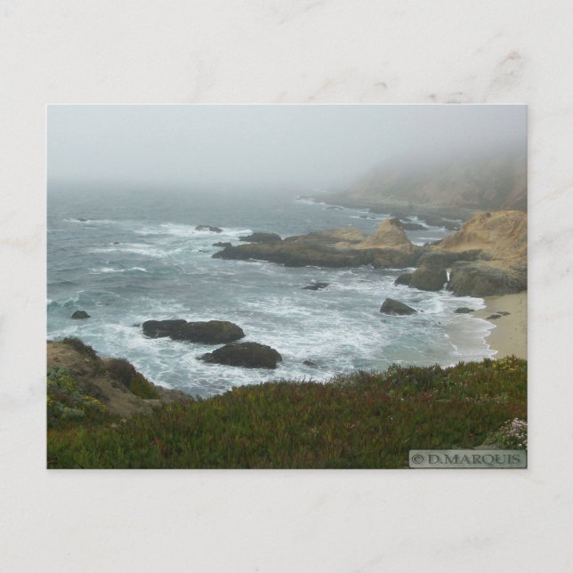 TARJETA POSTAL DE BODEGA BAY #1 (Anverso)