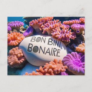 Tarjeta postal de Bon bini bonaire