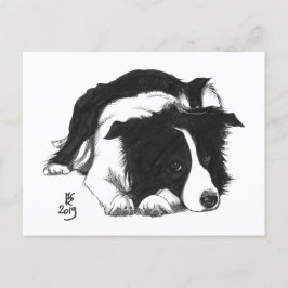 Tarjeta postal de Border Collie Doggust 2019