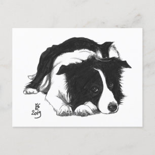 Tarjeta postal de Border Collie Doggust 2019