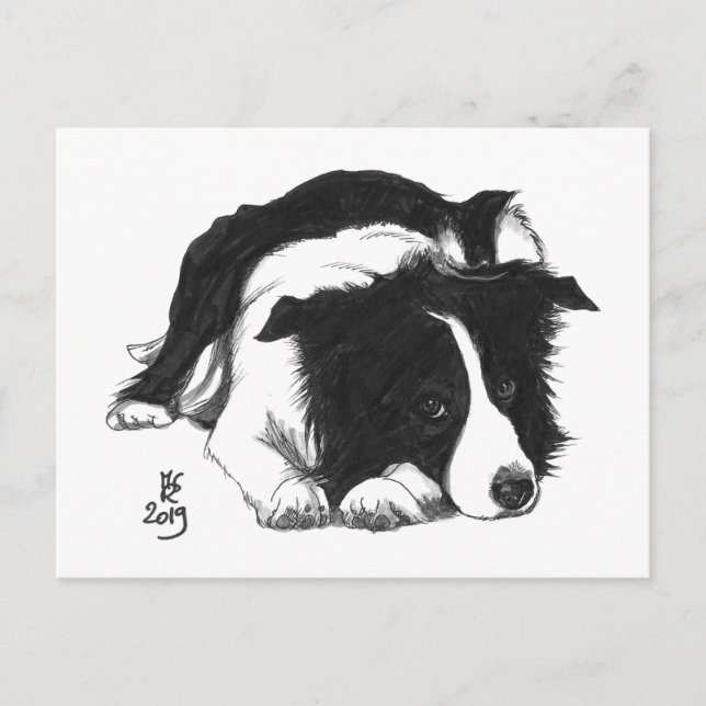 Tarjeta postal de Border Collie Doggust 2019 (Anverso)