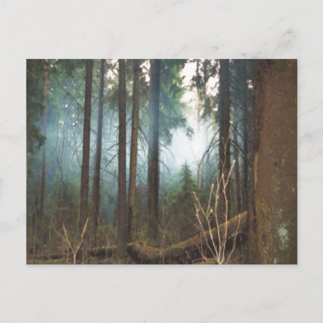 Tarjeta postal de bosques humeantes (Anverso)